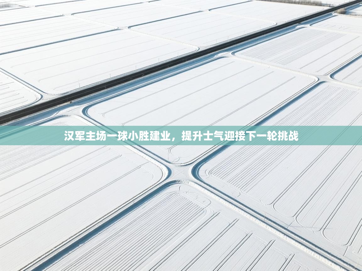 汉军主场一球小胜建业，提升士气迎接下一轮挑战