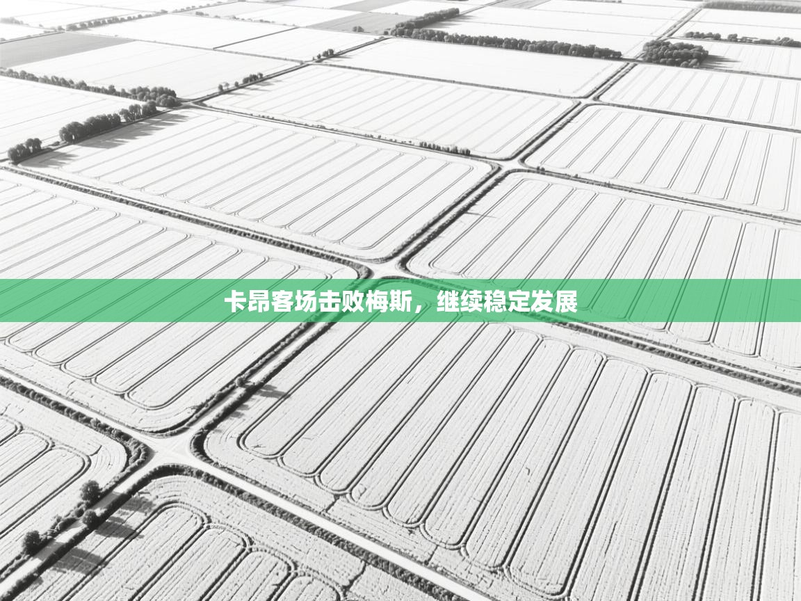 卡昂客场击败梅斯,继续稳定发展 第2张